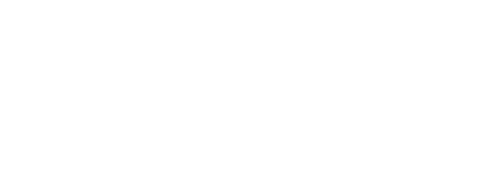 Nitinho — Deputado Federal